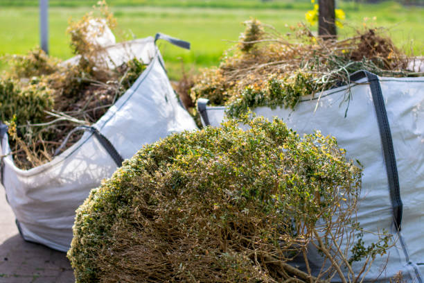 Best Carpet Removal and Disposal  in River Grove, IL